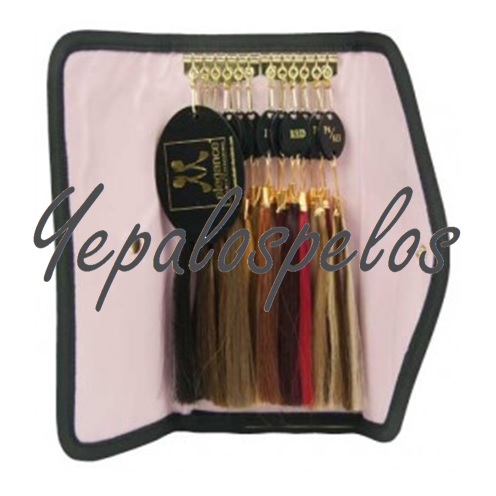 MUESTRARIO EXTENSIONES MAGGIE - ELEGANCE