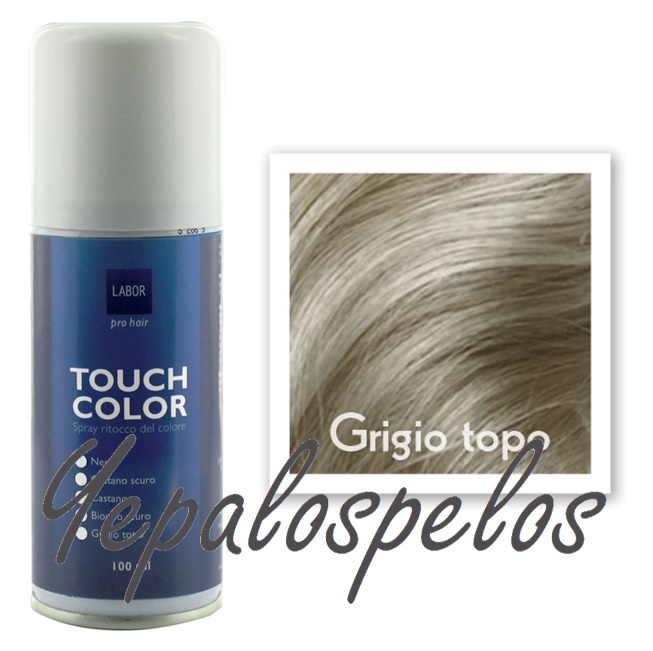 TOUCH COLOR SPRAY 100 ml. - GRIS