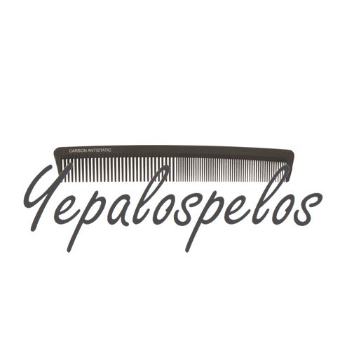 PEINE DE CARBONO ANTIESTATICO CABALLERO-PELUQUERO 170 mm.
