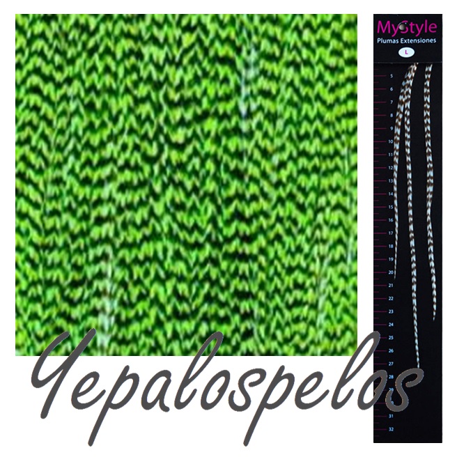 EXTENSION PLUMAS MY STYLE REF. L011 MENTA (3 uds.)