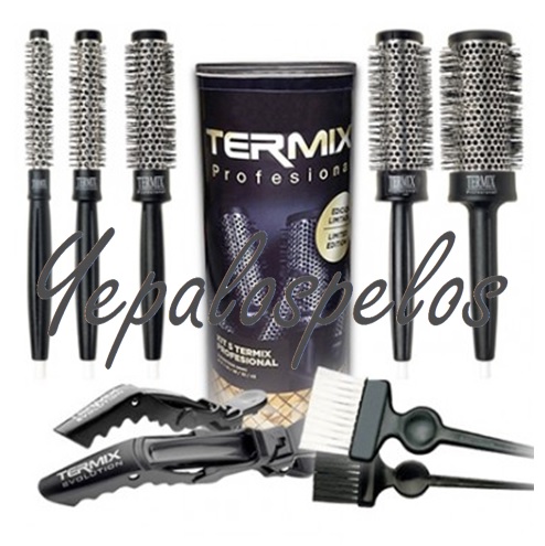 KIT TERMIX 5 CEPILLOS +PALET.+PINZAS