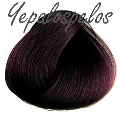 EVO 3.65 CASTAðO OSCURO ROJO CAOBA 100 ml.