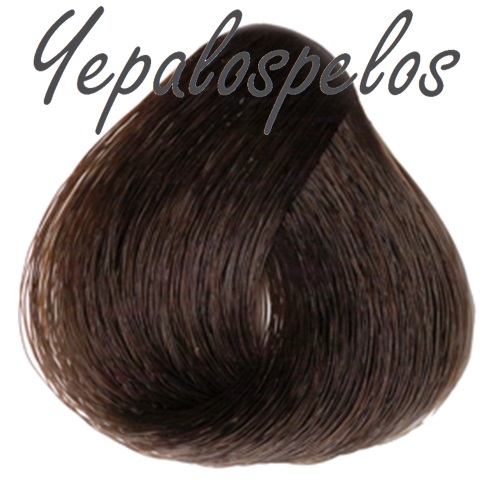 EVO 4.06 CASTAðO TIERRA QUEMADA 100 ml.