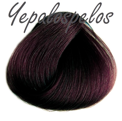 EVO 4.65 CASTAðO ROJO CAOBA 100 ml.