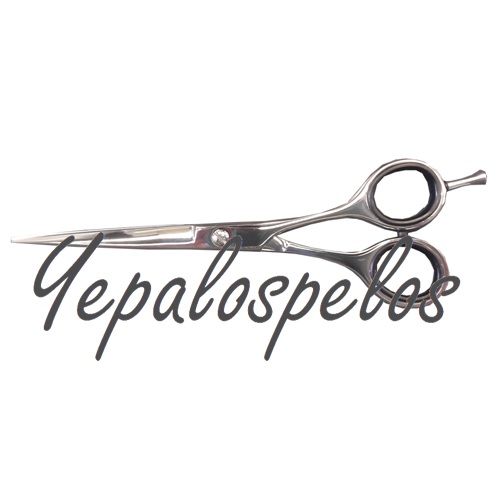 TIJERA PROFESIONAL ACERO JAPONES 440 DE 5" DES